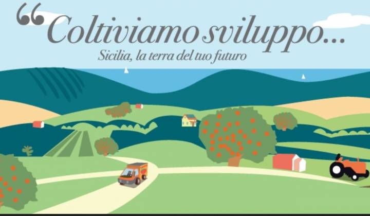 Immagine articolo: Visite in aziende agricole e scambi internazionali nel settore agricolo grazie ai finanziamenti del PSR Sicilia Agricoltura