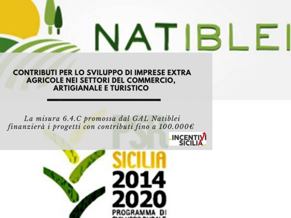 Immagine articolo: Contributi fino a 100.000€ per lo sviluppo di imprese extra agricole nei settori del commercio, artigianale e turistico con la misura 6.4.C del GAL Natiblei